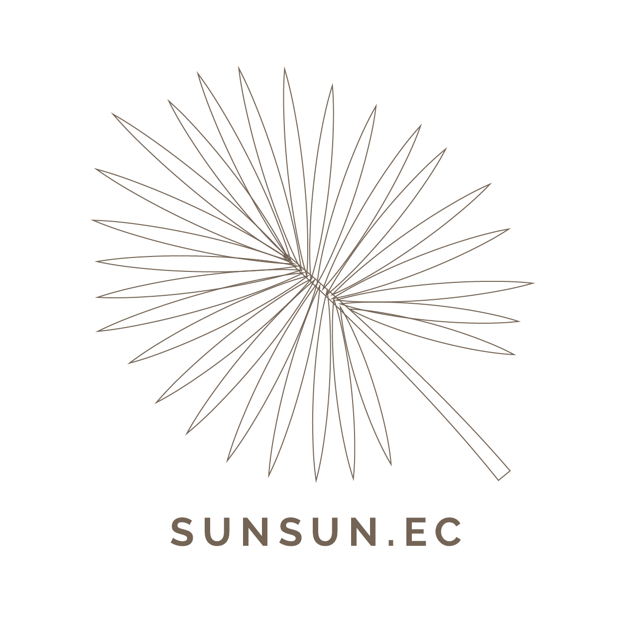 SOMBRERO PANAMA HAT PERSONALIZADO (VER COLORES)